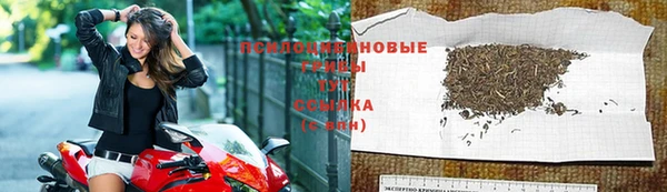 ГАЛЛЮЦИНОГЕННЫЕ ГРИБЫ Вяземский