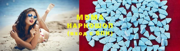 прущие грибы Вязники