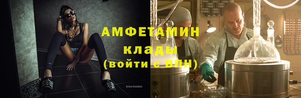 ГАЛЛЮЦИНОГЕННЫЕ ГРИБЫ Вяземский