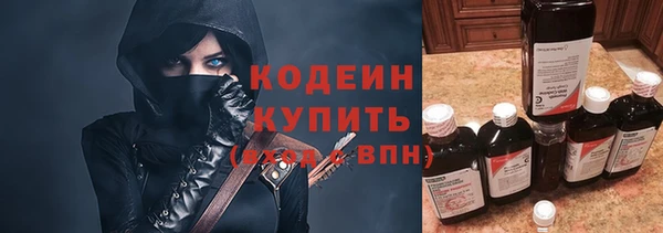 ГАЛЛЮЦИНОГЕННЫЕ ГРИБЫ Вяземский