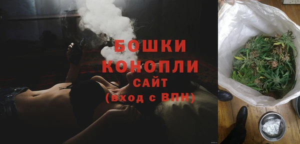 прущие грибы Вязники