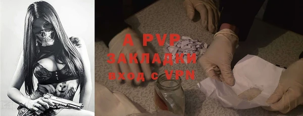 ГАЛЛЮЦИНОГЕННЫЕ ГРИБЫ Вяземский