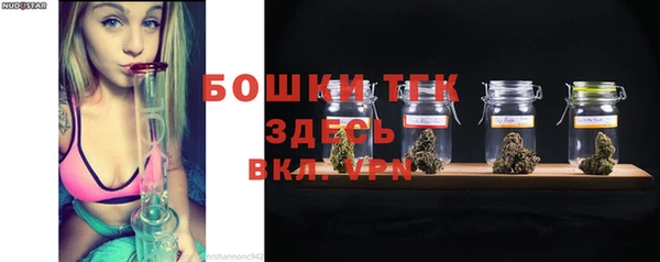 прущие грибы Вязники