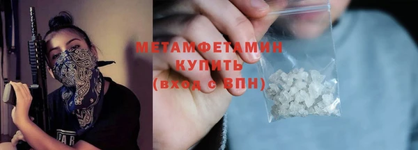 прущие грибы Вязники