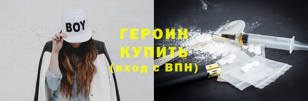 прущие грибы Вязники