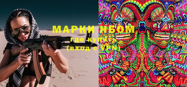 прущие грибы Вязники