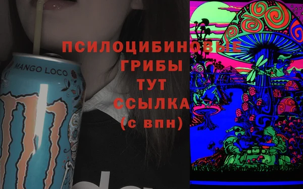 прущие грибы Вязники