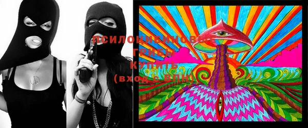 прущие грибы Вязники