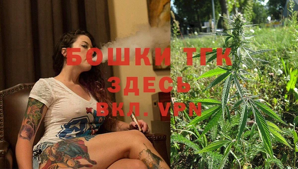 прущие грибы Вязники