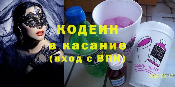 ГАЛЛЮЦИНОГЕННЫЕ ГРИБЫ Вяземский