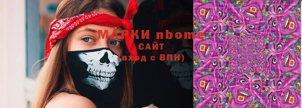 прущие грибы Вязники