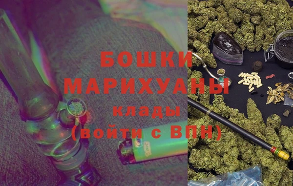 прущие грибы Вязники