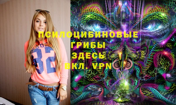 ГАЛЛЮЦИНОГЕННЫЕ ГРИБЫ Вяземский